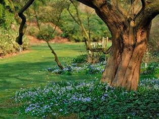 arboretum-kalmthout-1681201344.jpg